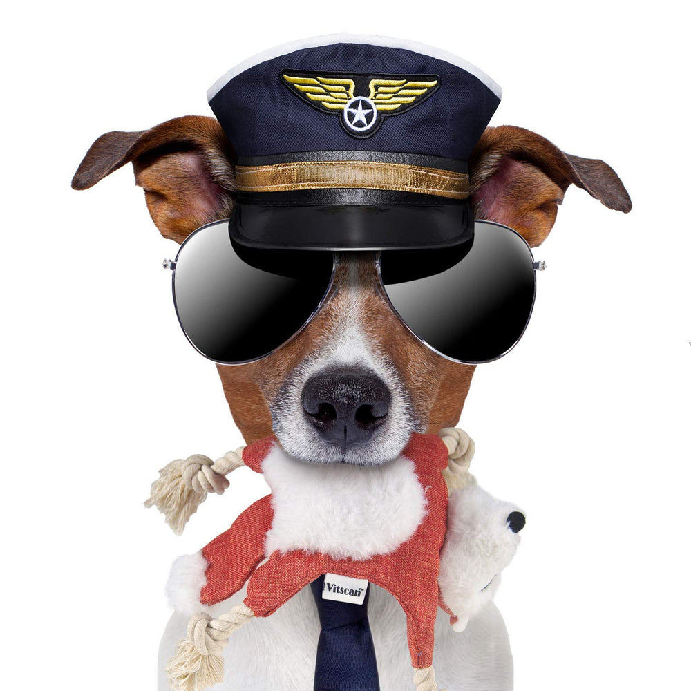 Vitscan Zorro para perros pequeños, tamaño ideal para mordidas y juego