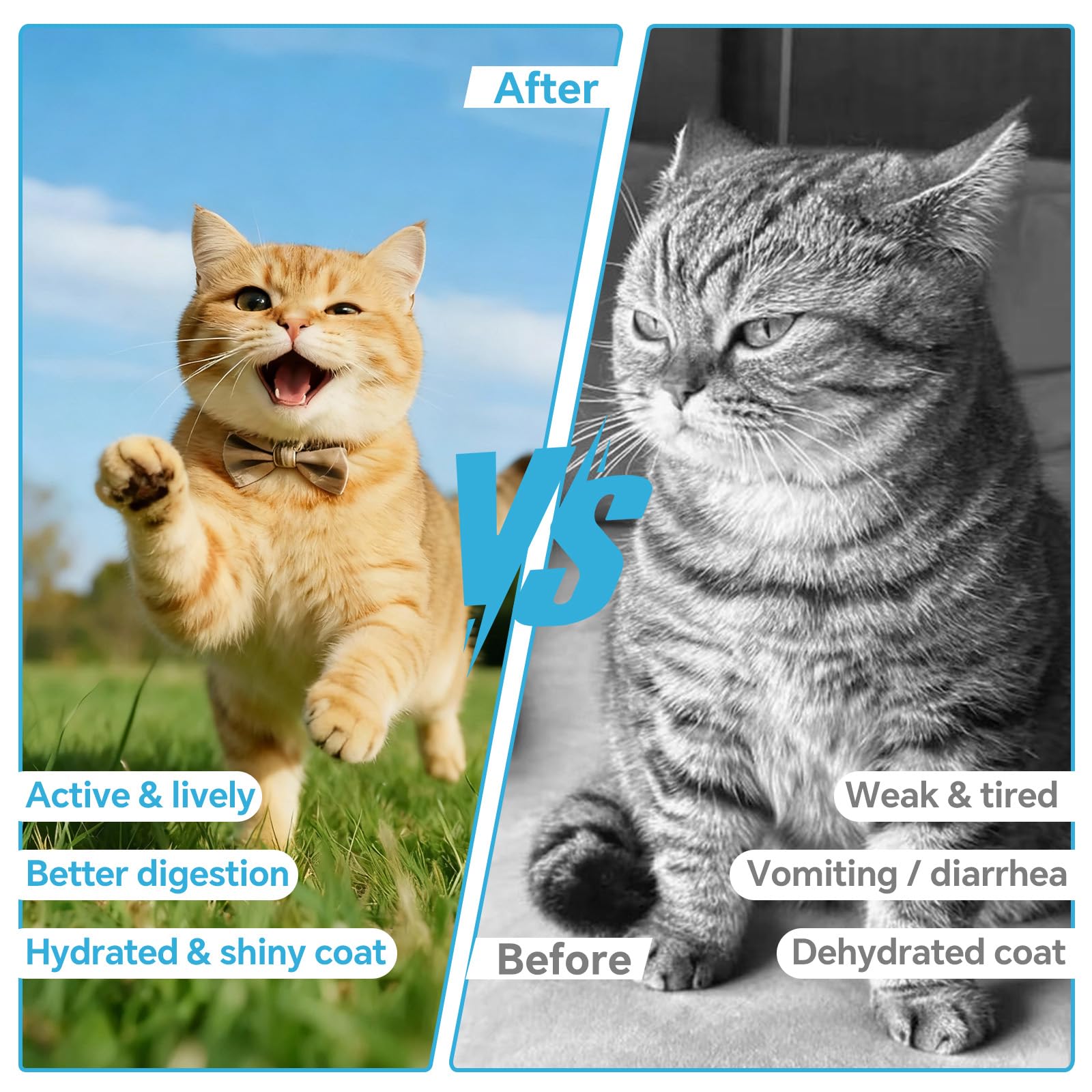 VivaElixir prebióticos FOS para gatos, apoyan la salud intestinal durante la recuperación.