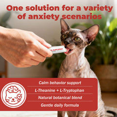 VivaElixir con L-teanina, ingrediente para equilibrar el ánimo felino