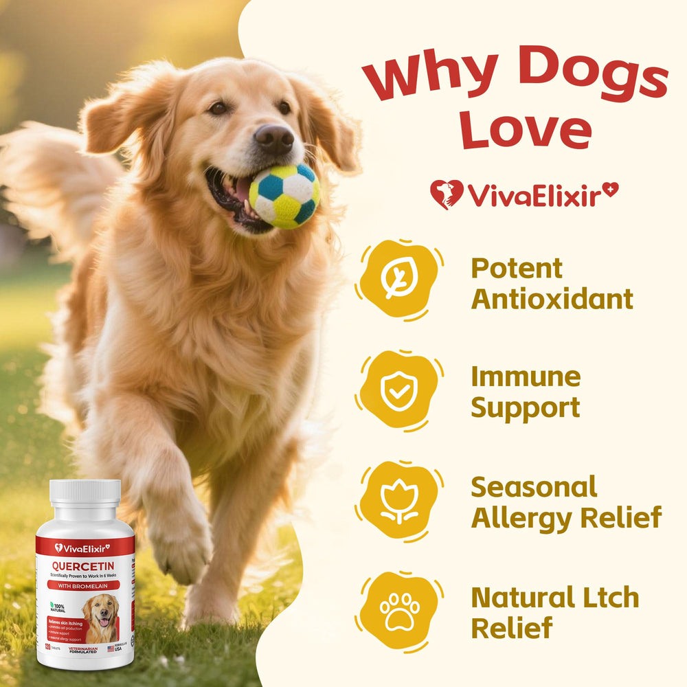 Tabletas para perros de VivaElixir, dosis diaria en caja, facilidad de administración.