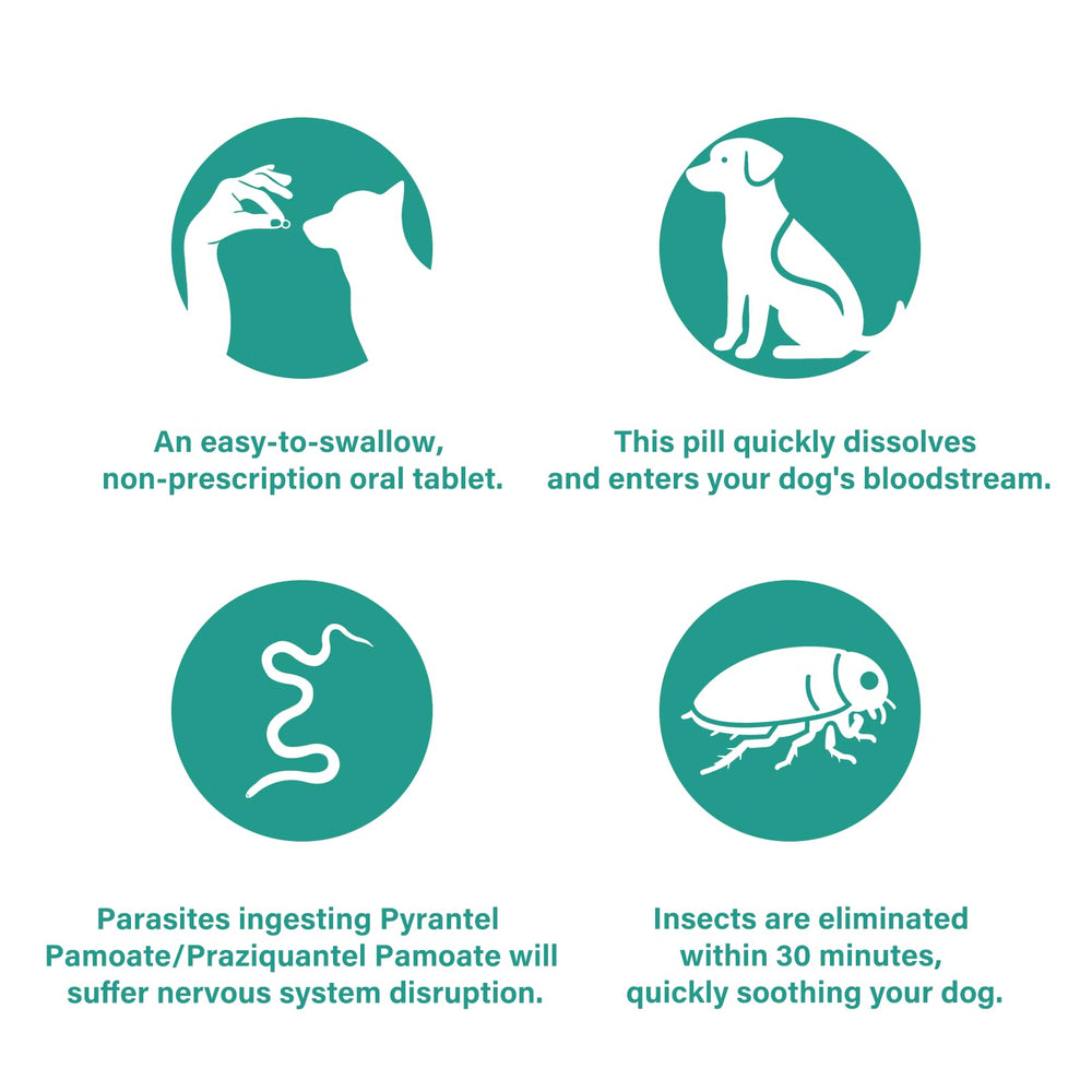VivaElixir Recomendado por veterinarios para mascotas.