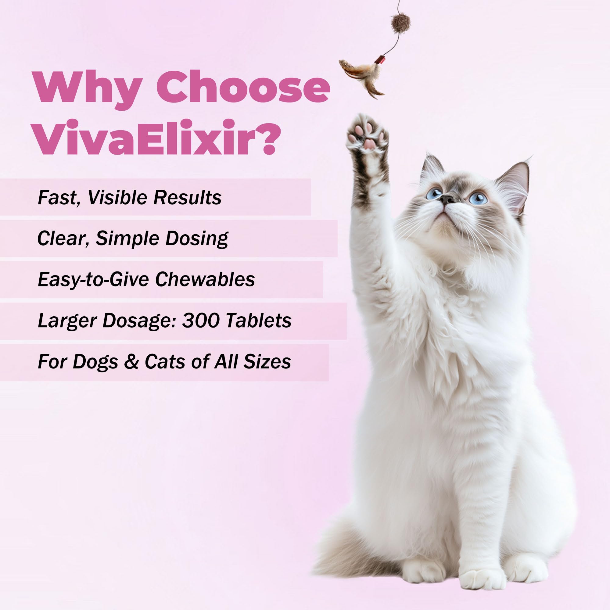 VivaElixir Probióticos envase transparente que inspira confianza para la dieta diaria de mascotas.