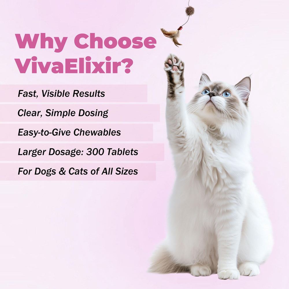 VivaElixir Probióticos envase transparente que inspira confianza para la dieta diaria de mascotas.
