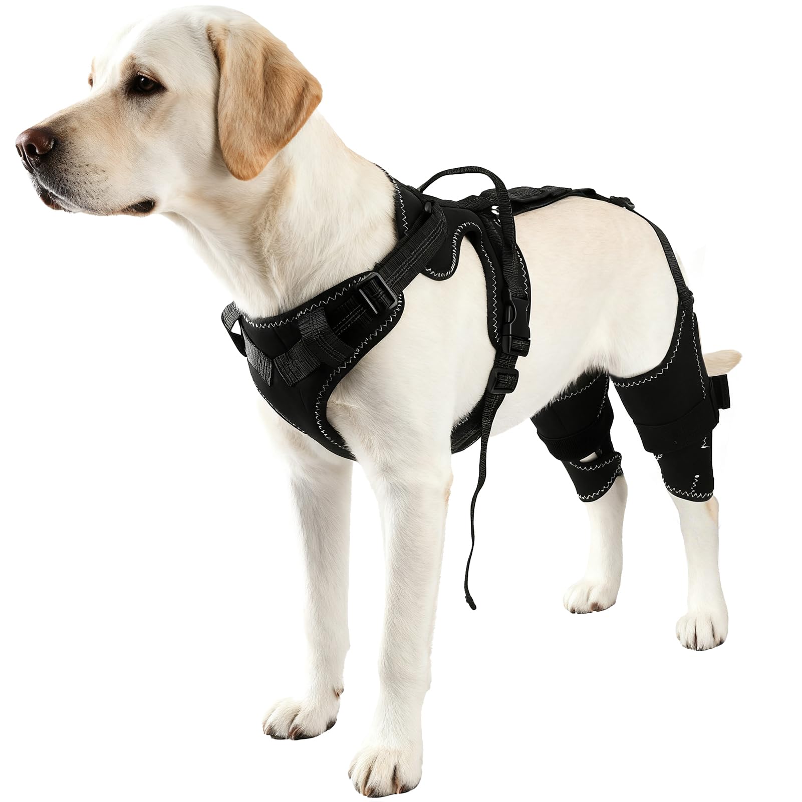 Arnés Vivifying con soporte trasero para movilidad de perro