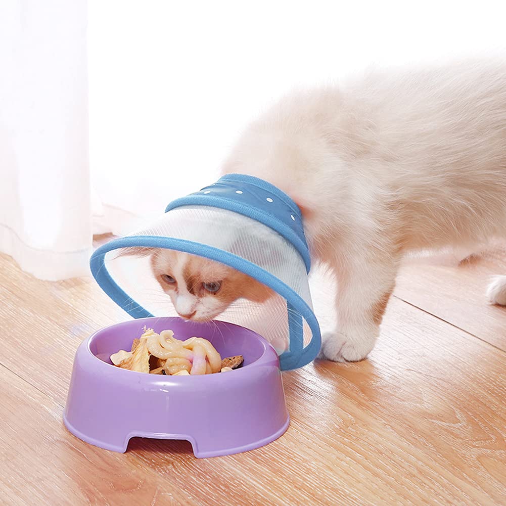 Collar Isabelino Vivifying para gatos pequeños, azul y cómodo.
