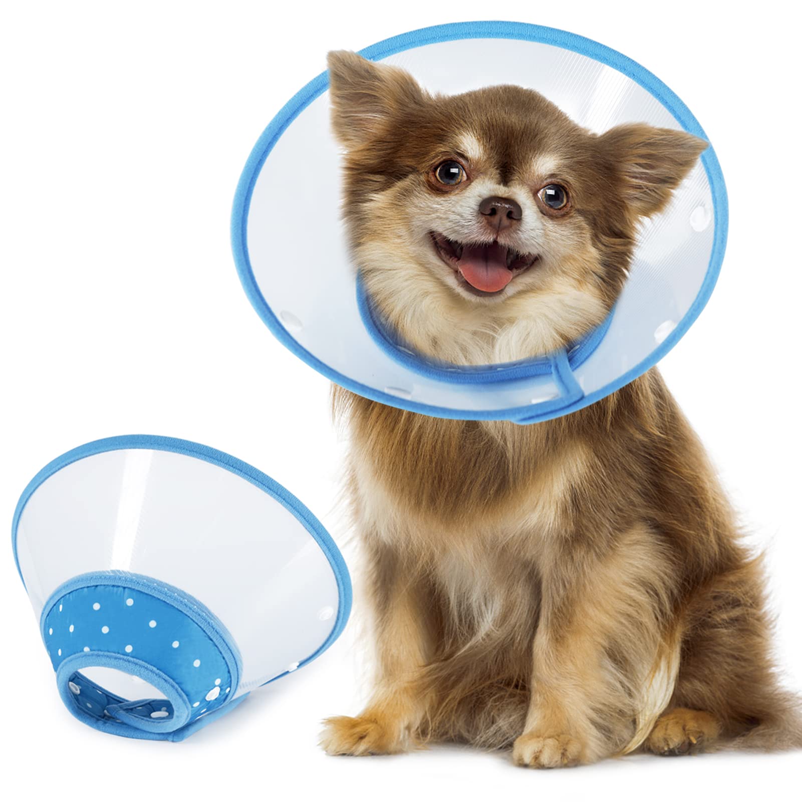 Cône Vivifying bleu pour petit chien, confort et protection après chirurgie.