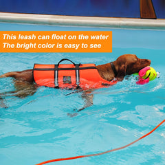 Vivifying correa para perro con asa acolchada, comodidad durante entrenamientos largos.