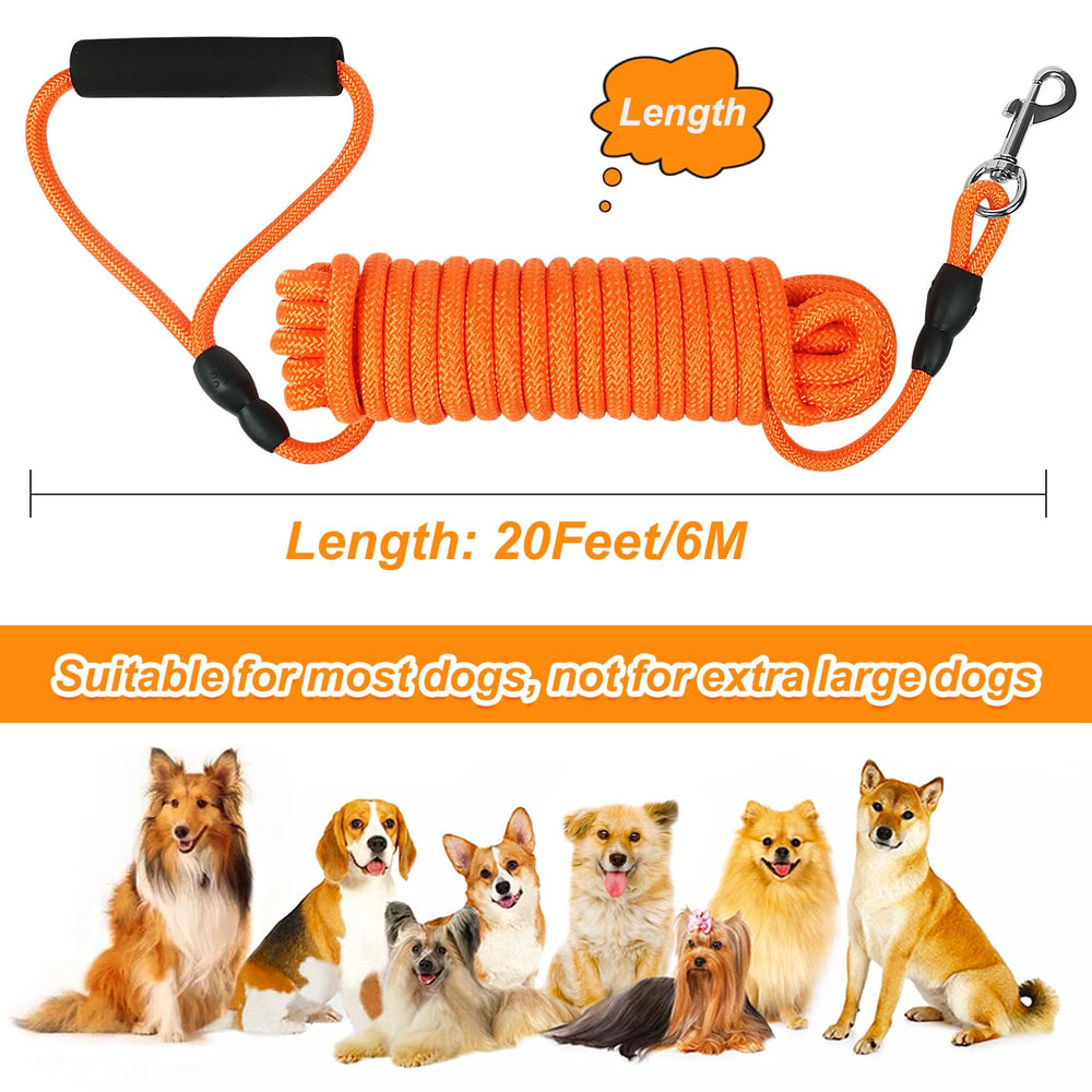 Vivifying correa para perros medianos y pequeños, longitud adecuada