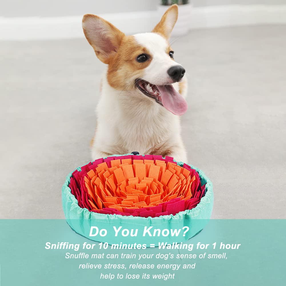 Vivifying snuffle-mat: lavage sûr et entretien simple