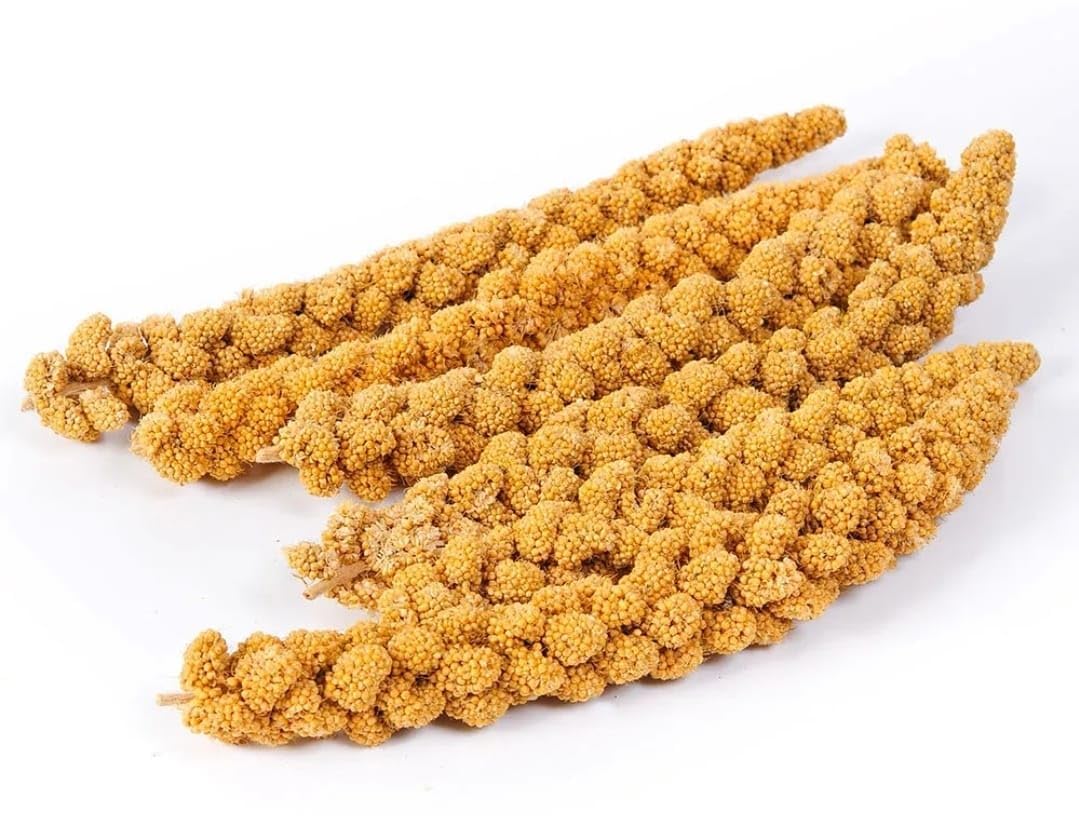 Vivlly para aves pequeñas, snack sabroso y fácil de almacenar.