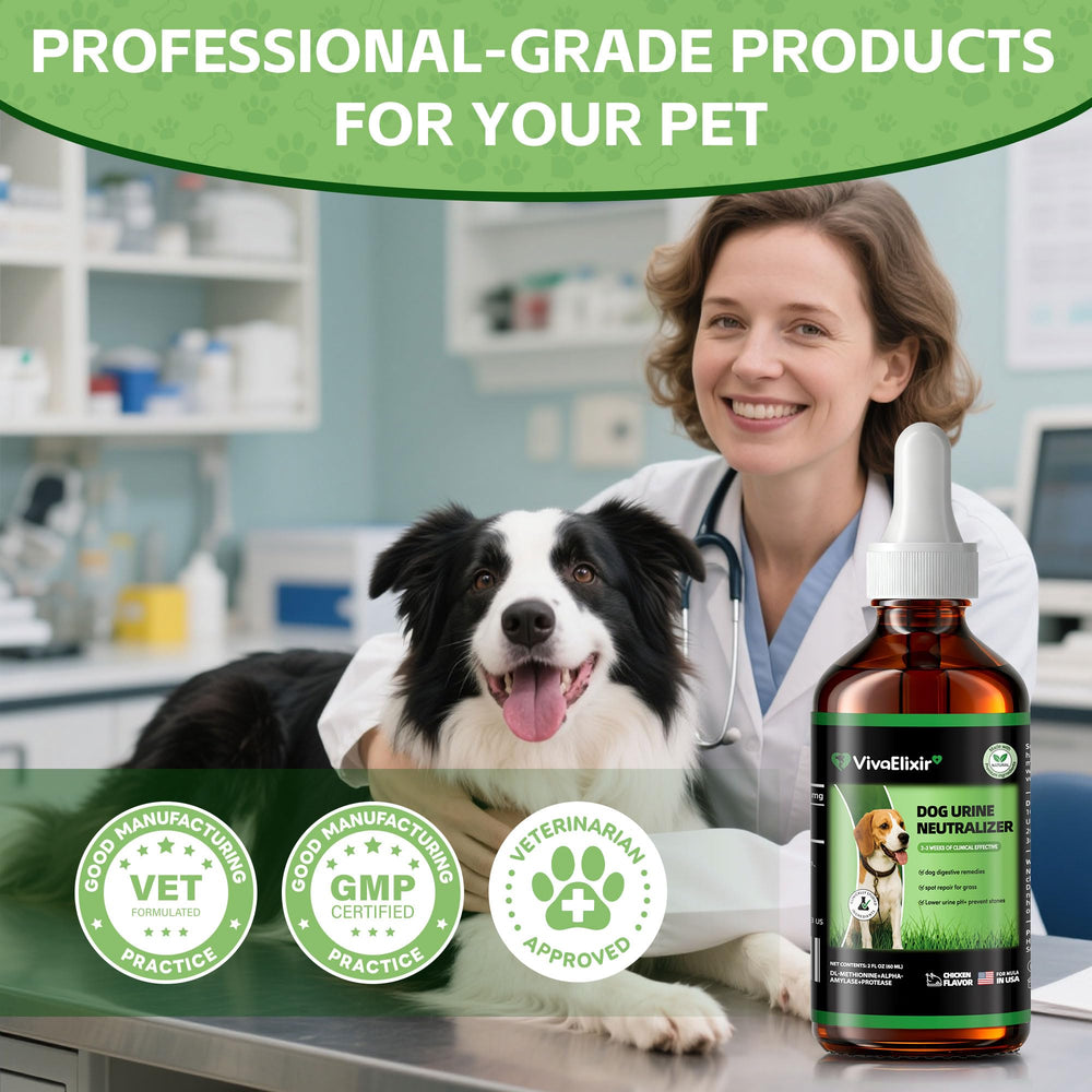 VivaElixir certificaciones veterinarias y GMP, garantía de calidad para perros