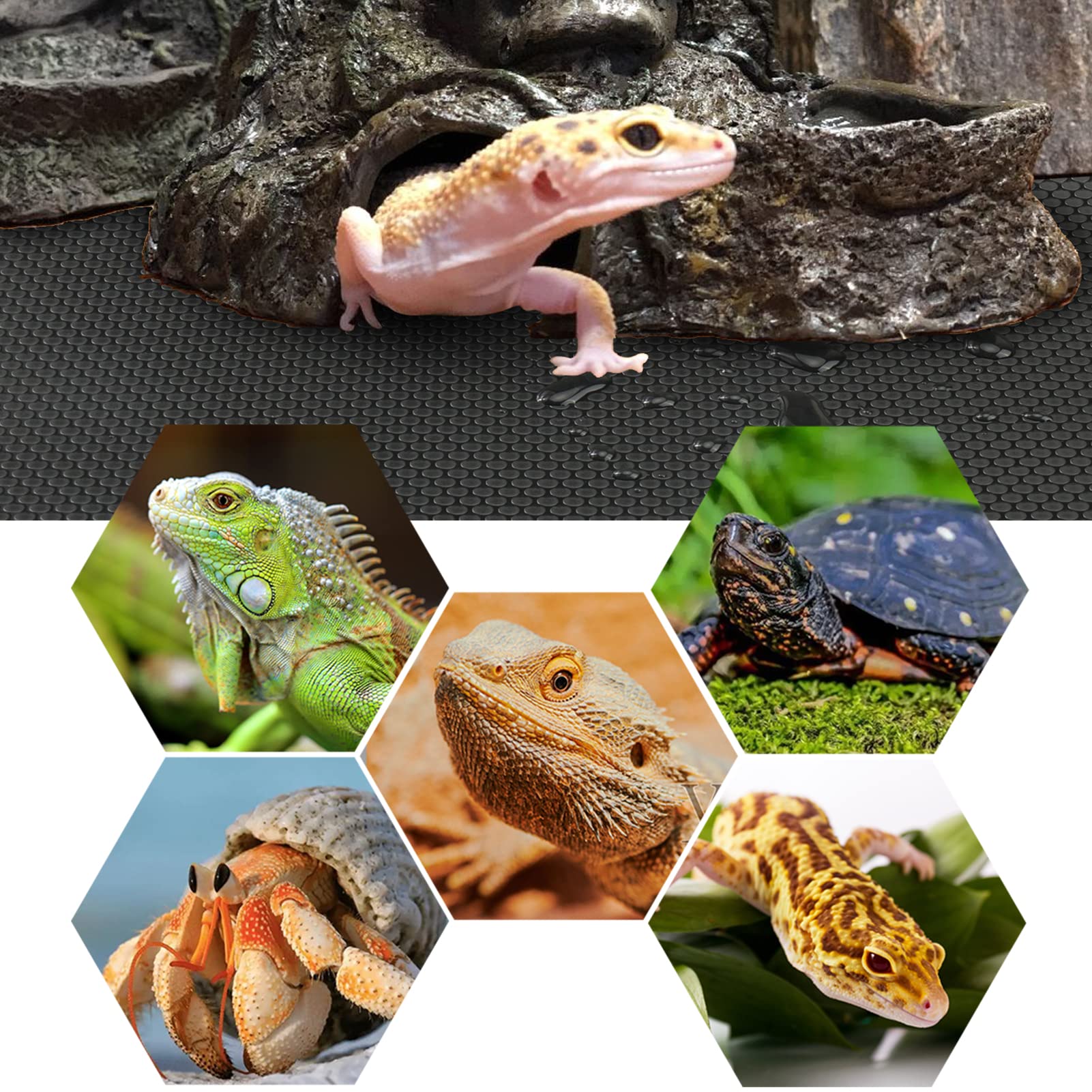 Vodolo alfombra para gecko leopardo, superficie no absorbente facilita la limpieza