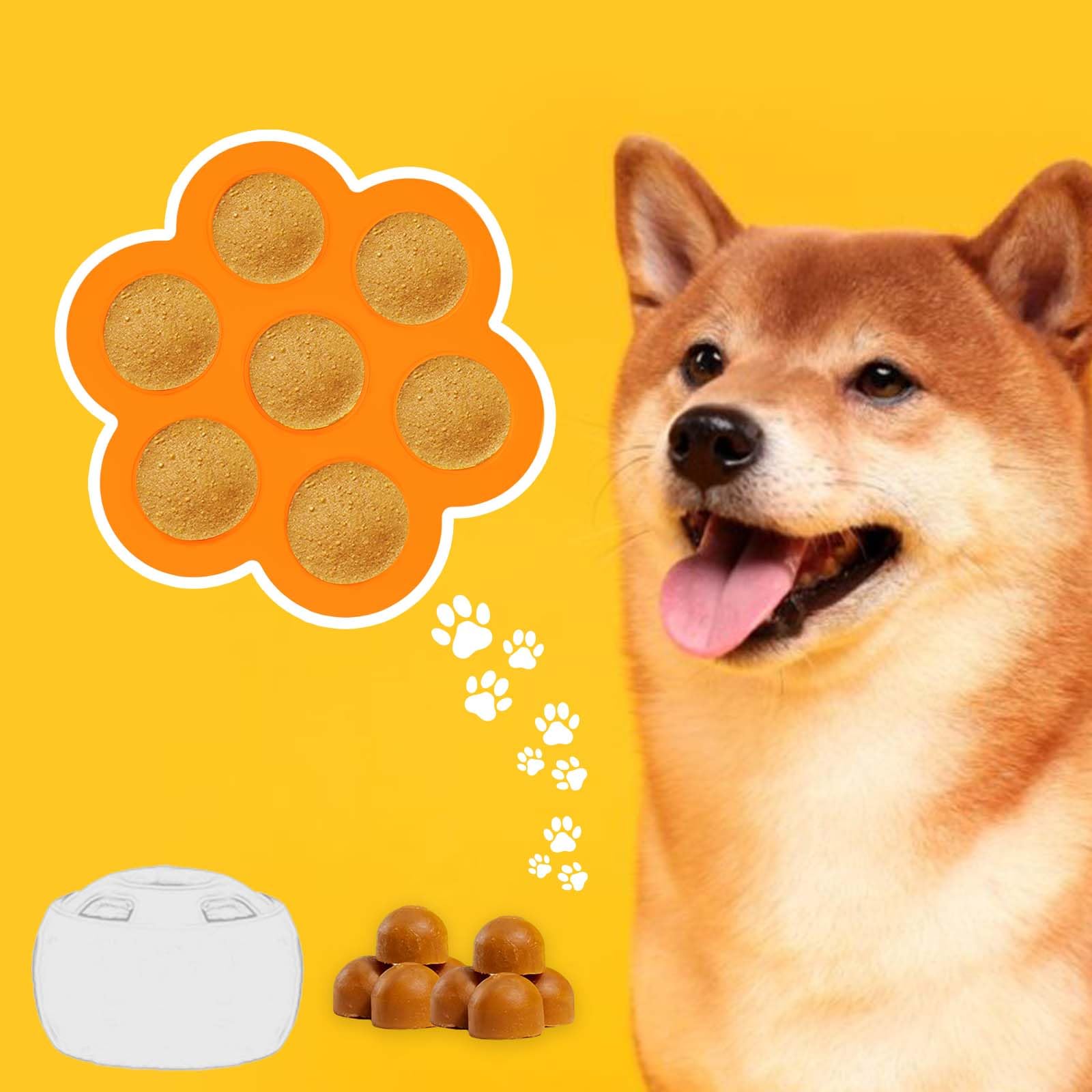 Congelar porciones para perros de forma segura y práctica con Vodolo.