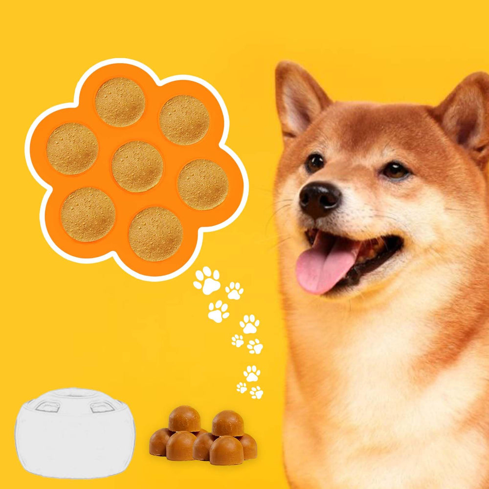 Congelar porciones para perros de forma segura y práctica con Vodolo.