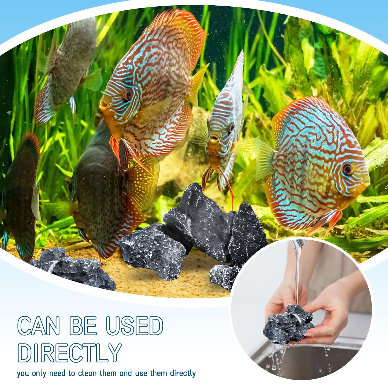 Piedras naturales Seiryu VOKOY, decoración duradera para acuarios y terrarios.