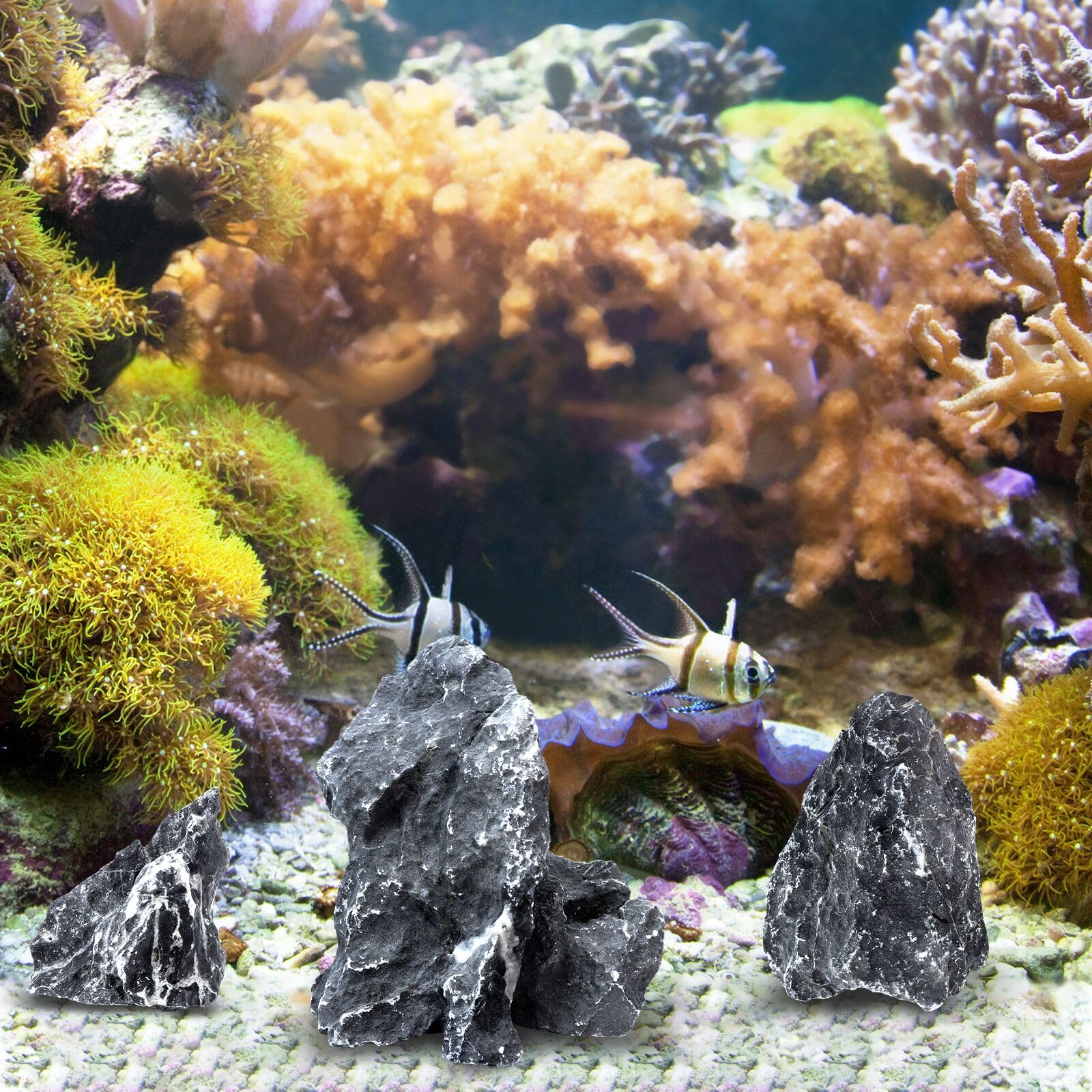 Piedras Seiryu para acuario, múltiples tamaños para composiciones personalizadas.