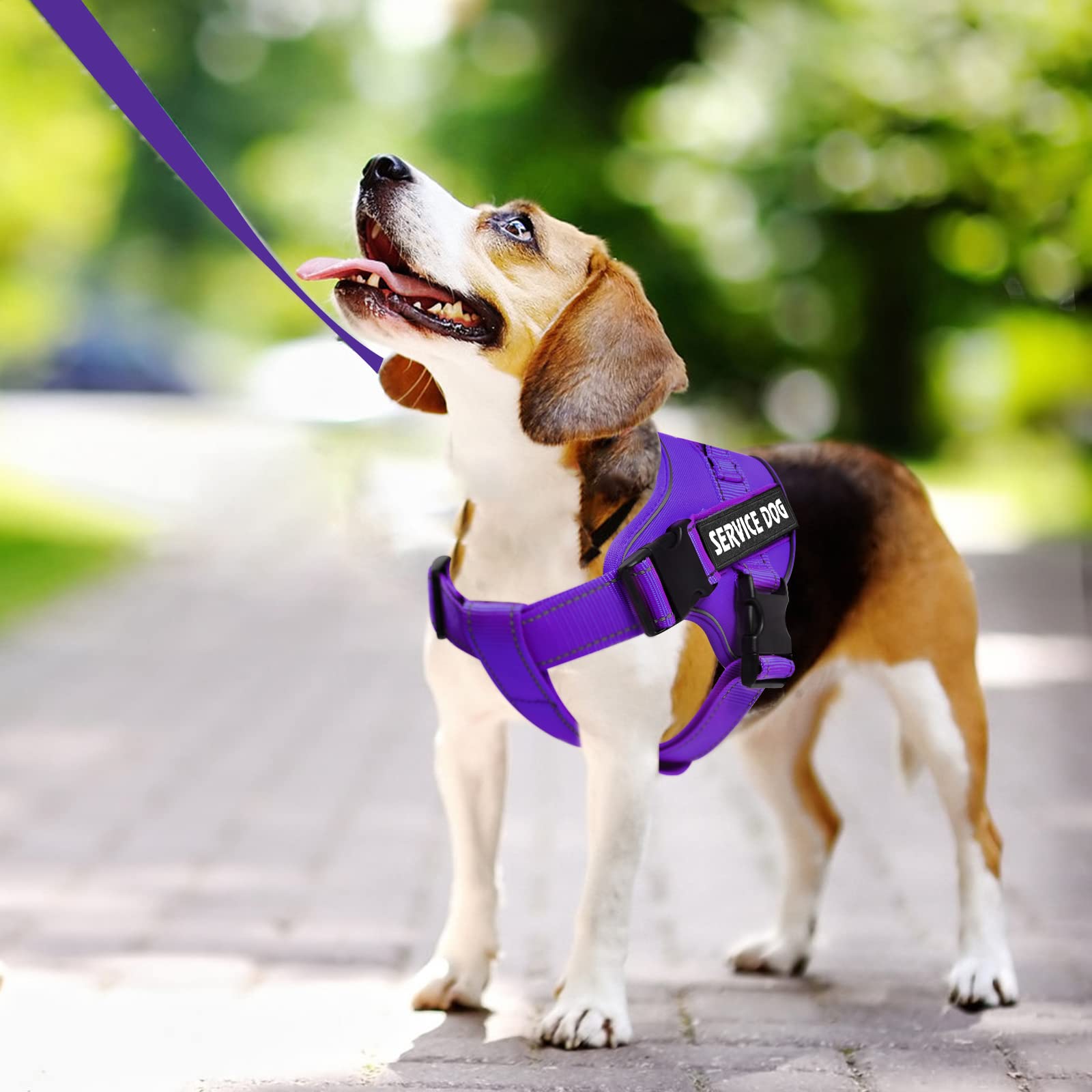 VOOPET arnés ligero y resistente para uso diario.
