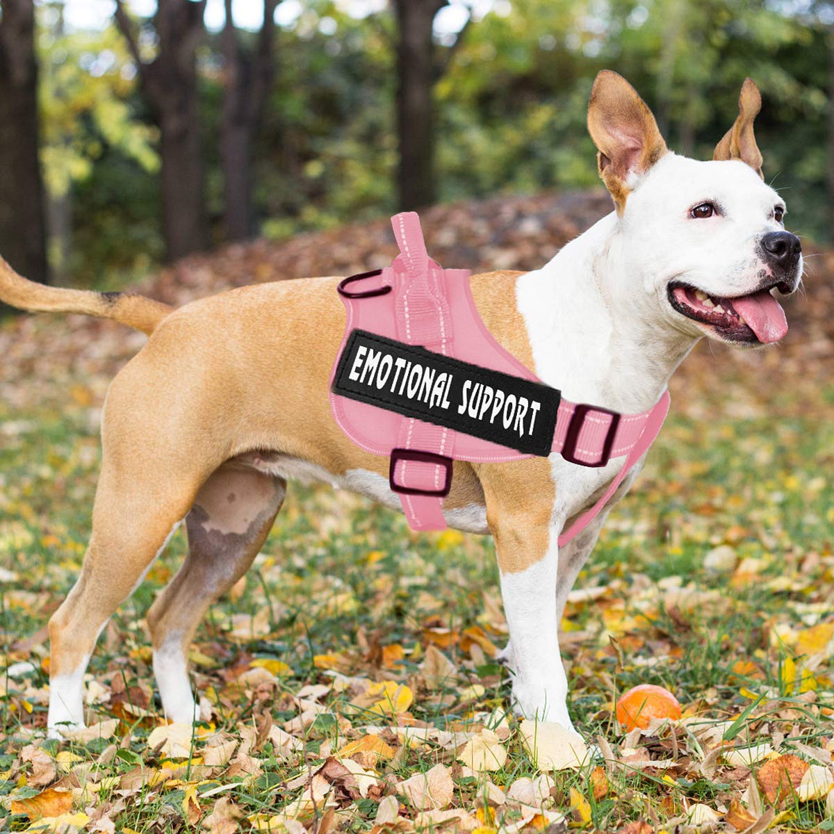 VOOPET arnés de servicio para perro diseño ajustable para varios tamaños
