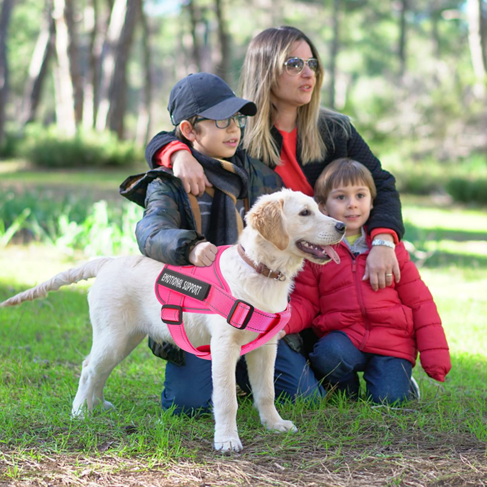 voopet arnés de servicio para perro en tela oxford resistente y cómodo.