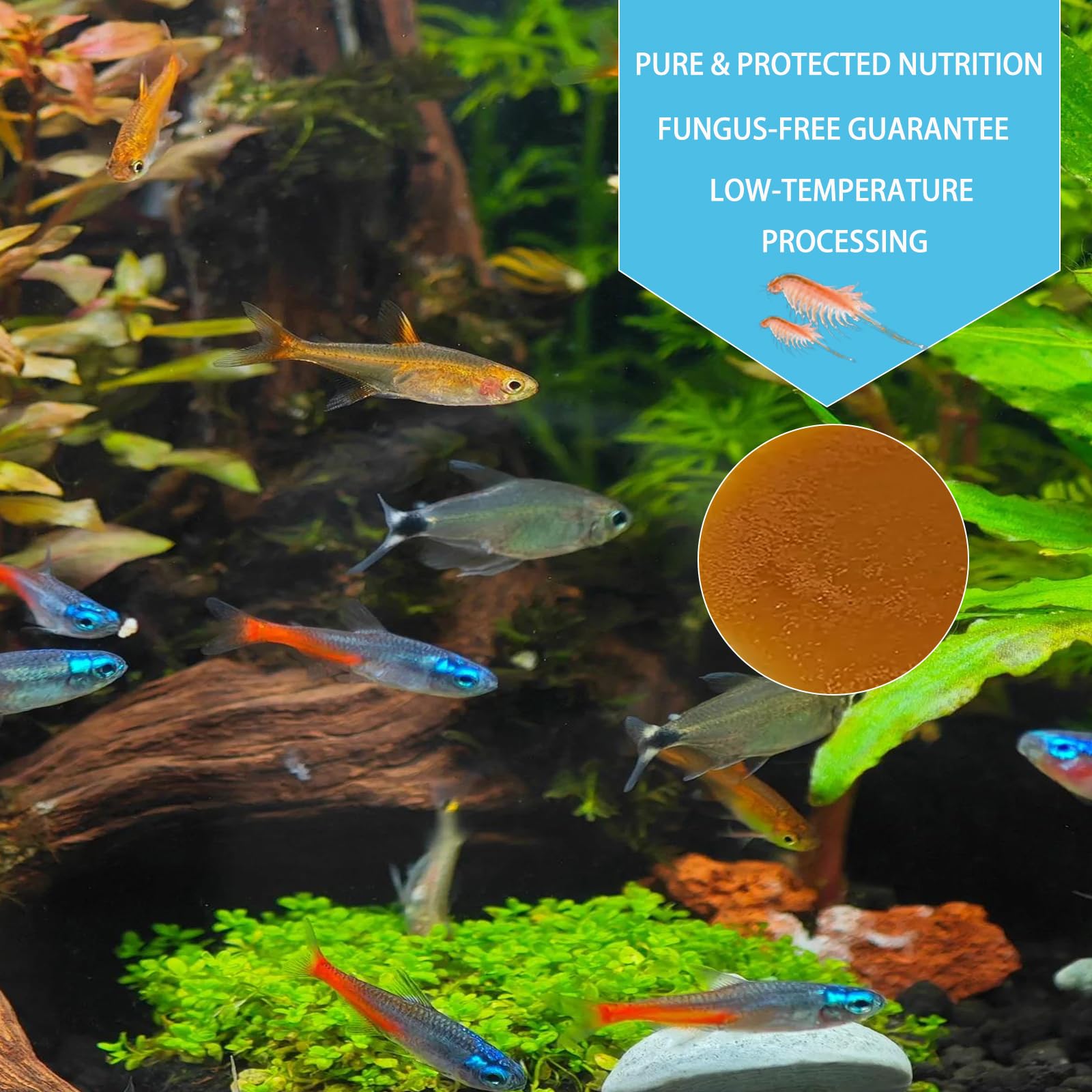 Vorenzyme alimento alevines nanoespecies: apto para tanques pequeños.