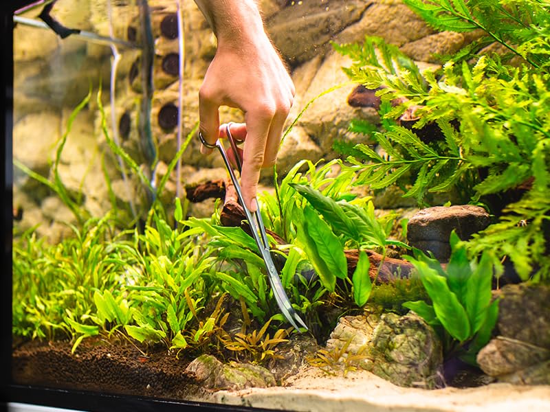 Acero inoxidable de alta calidad en tijeras VORESTIC para acuario.
