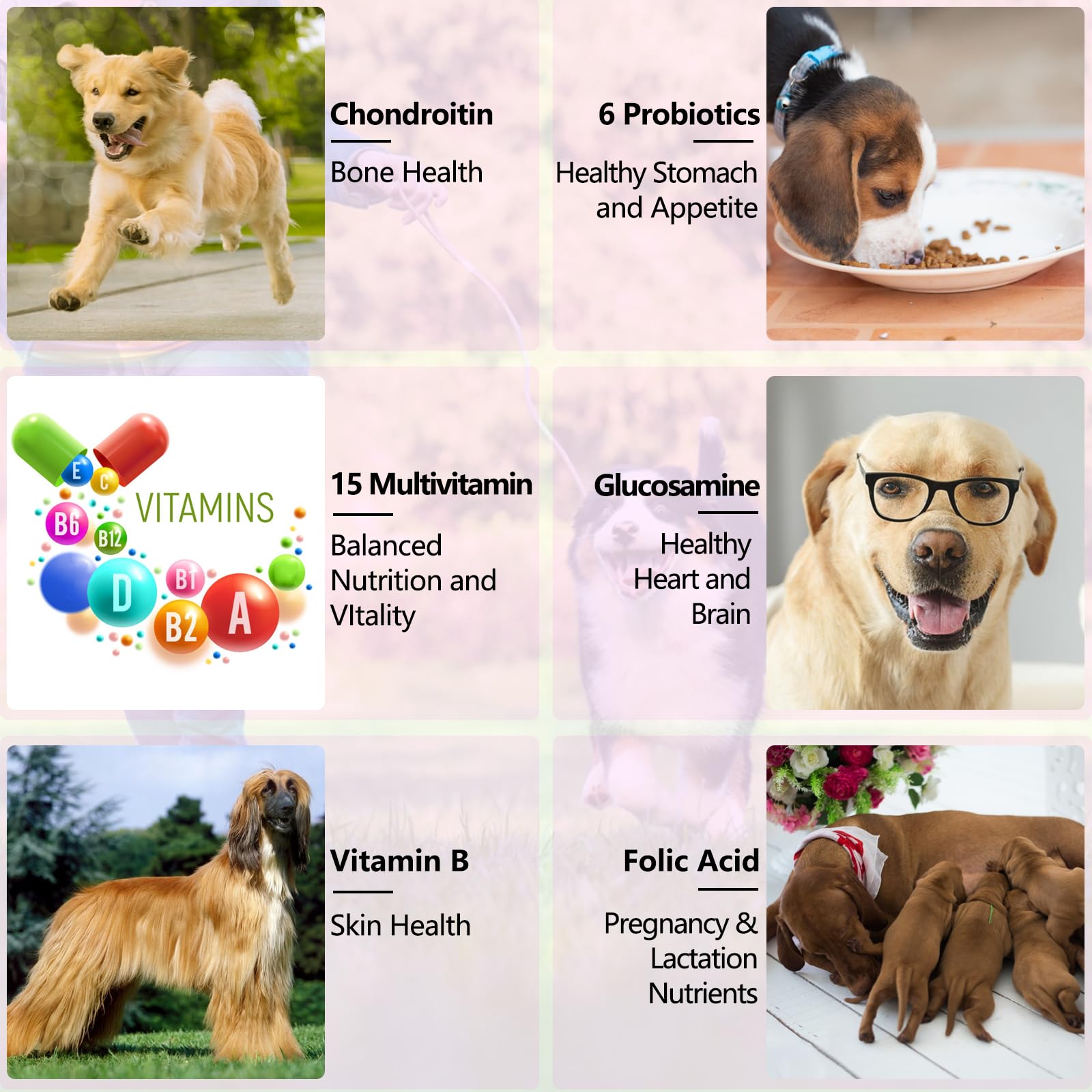 VOSIFSDIY multivitamínico para perros, mezcla con comida para conveniencia.