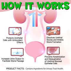 Vosifsdiy Arándano Natural: apoyo herbal para la salud urinaria de gatos.