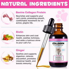 VOSIFSDIY Collagen para Gatos con gotero, dosificación precisa en cada uso.