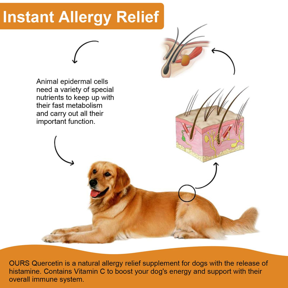 Quercetina para perros de VOSIFSDIY: gotitas para dosis diaria y comodidad.