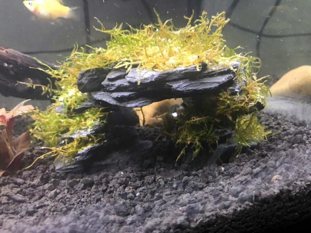 Piedras Voulosimi de pizarra, ideales para jardines y estanques.