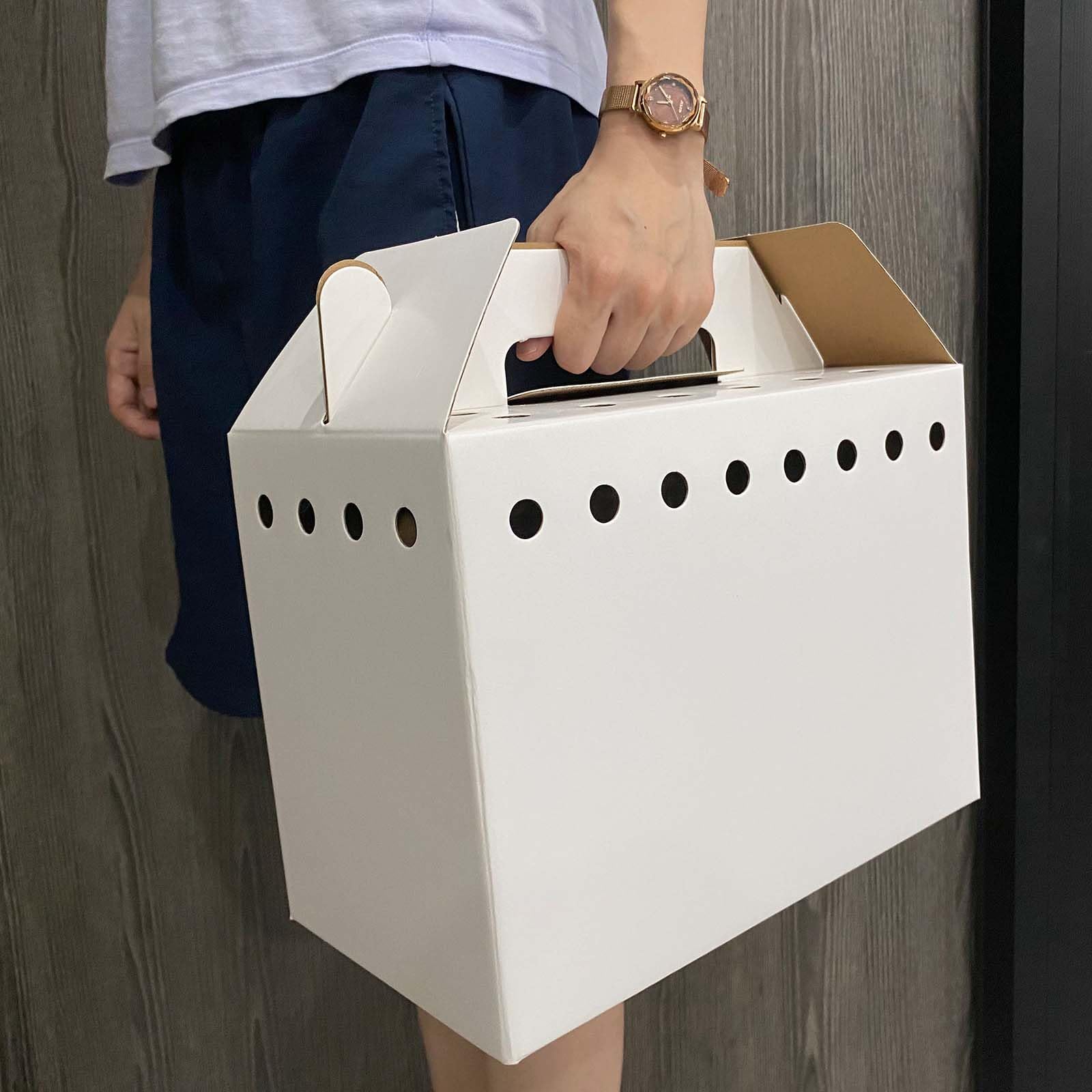 Vowcarol caja para mascotas, fácil de montar sin cinta, ideal para varios viajes.