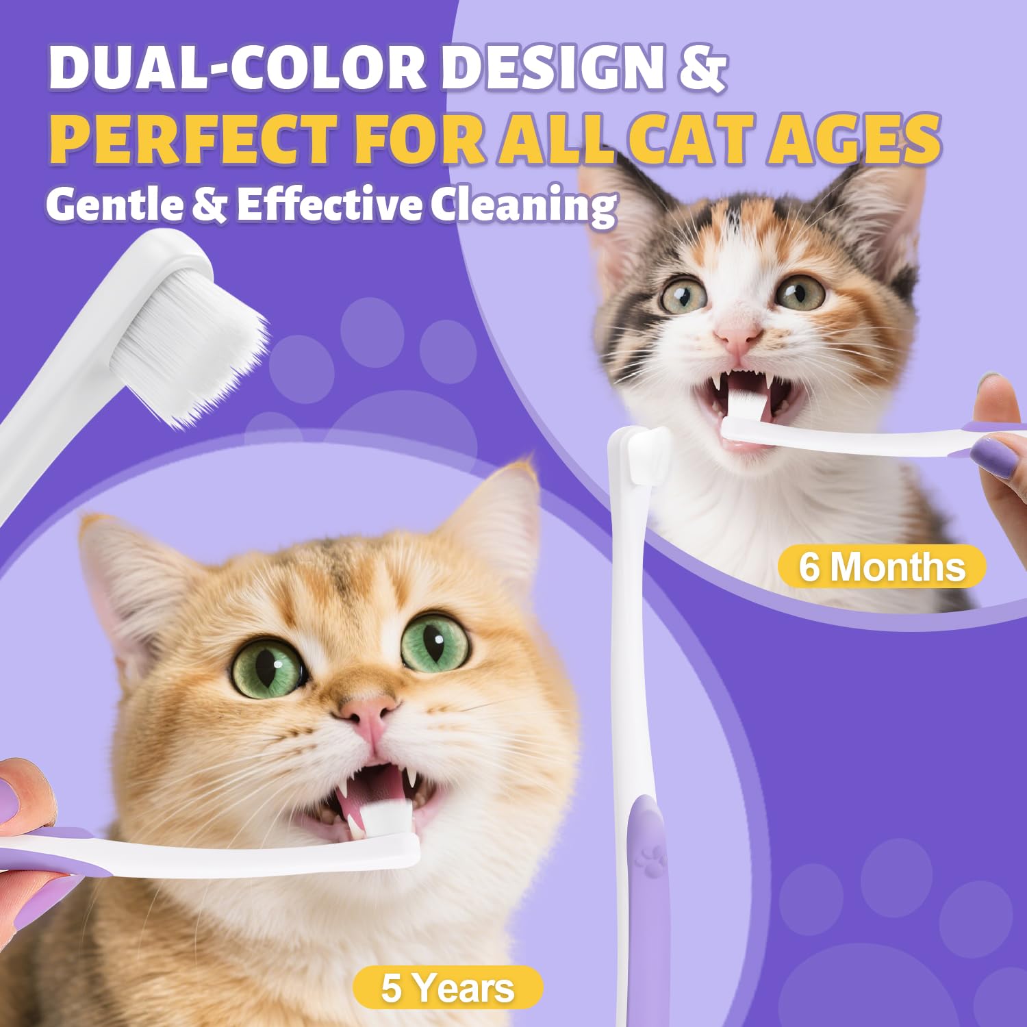 VVHOMIFE cuidado dental cómodo para gatitos y gatos en casa.