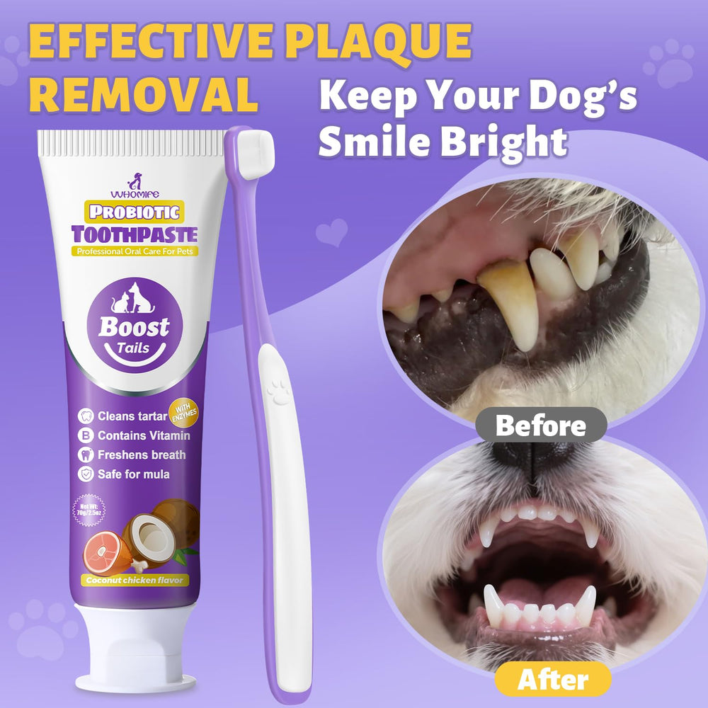 Embalaje del kit dental VVHOMIFE listo para uso.