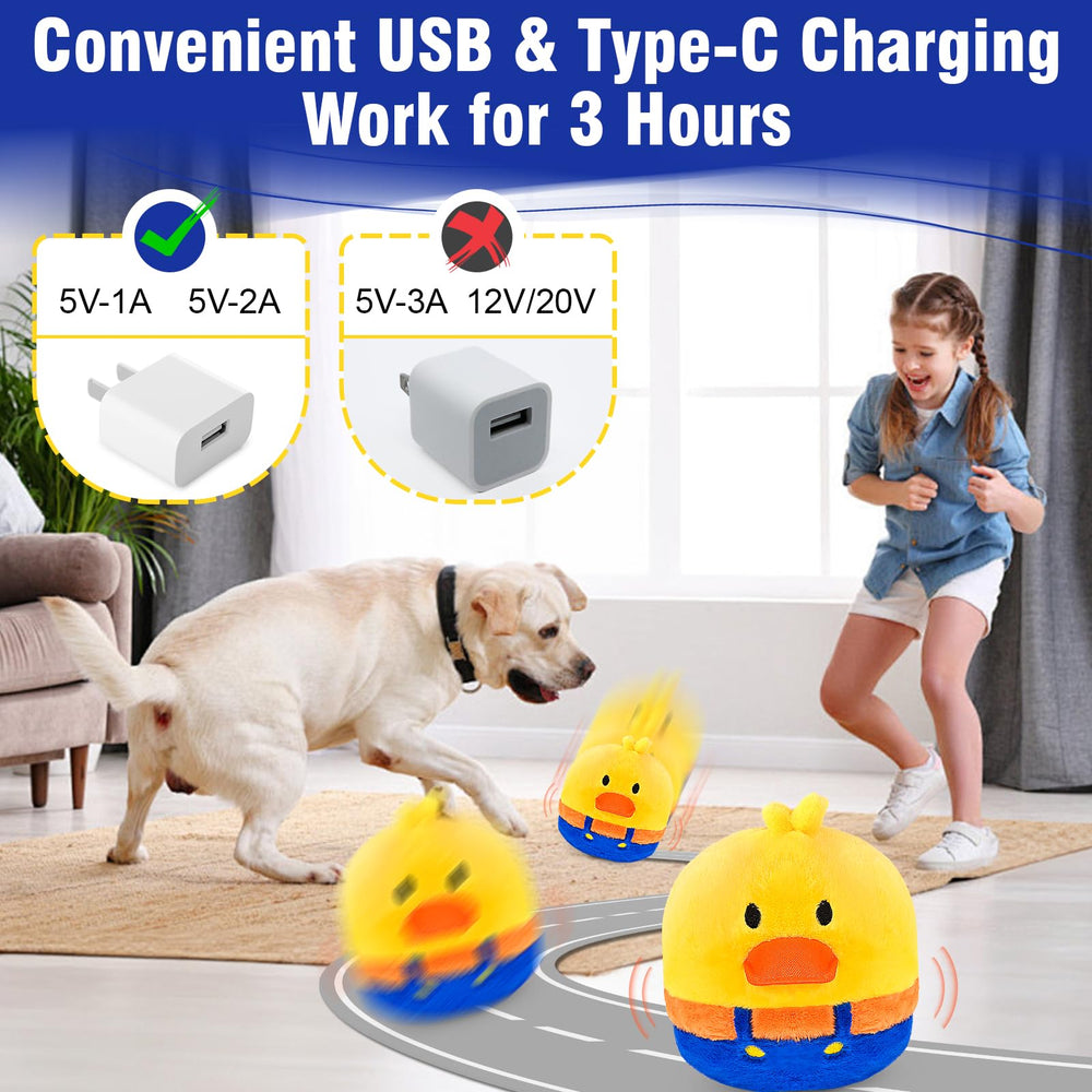 Ideal para interiores: tamaño 5 pulgadas, para perros pequeños y medianos.