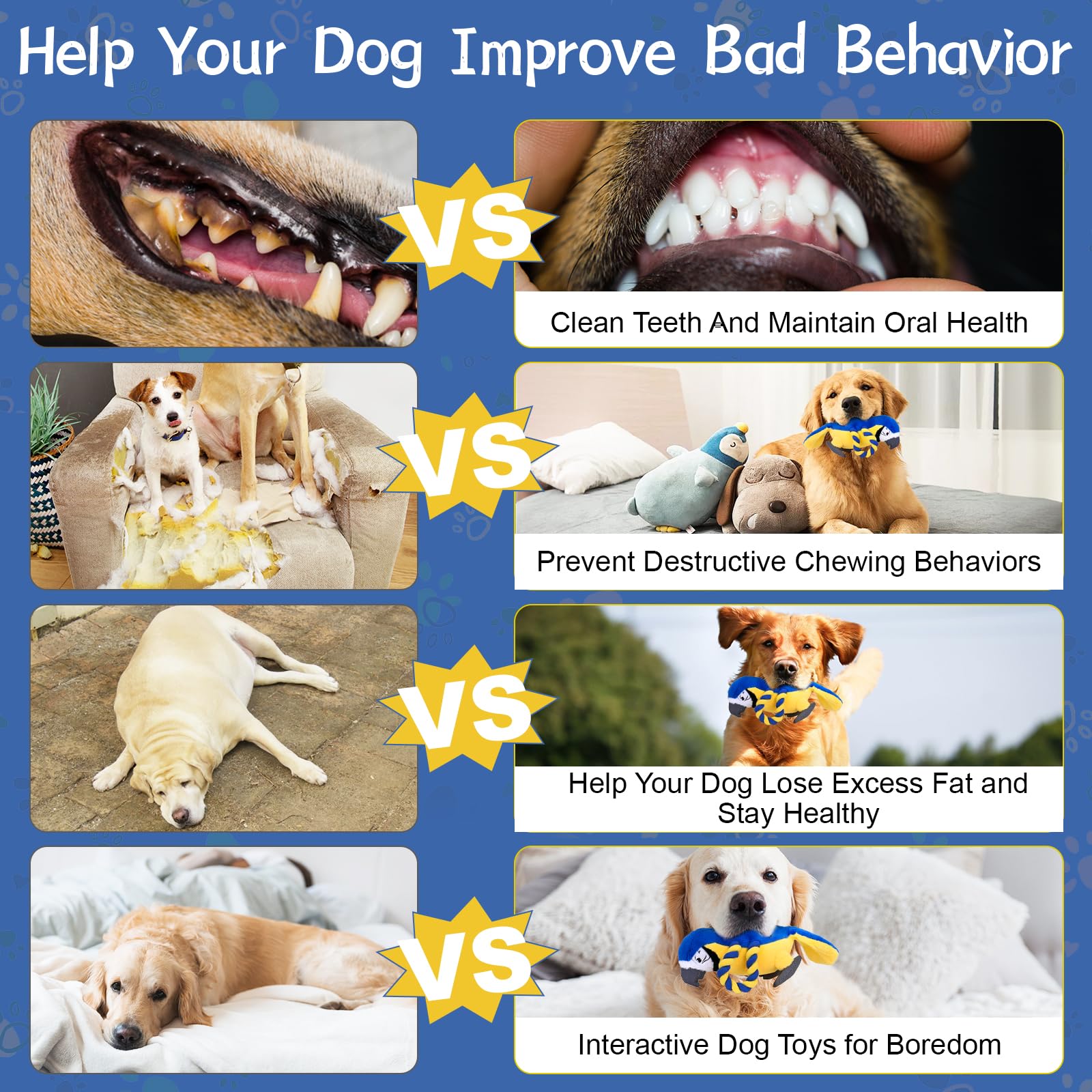 Regalo ideal VYsTN para cachorros y perros adultos