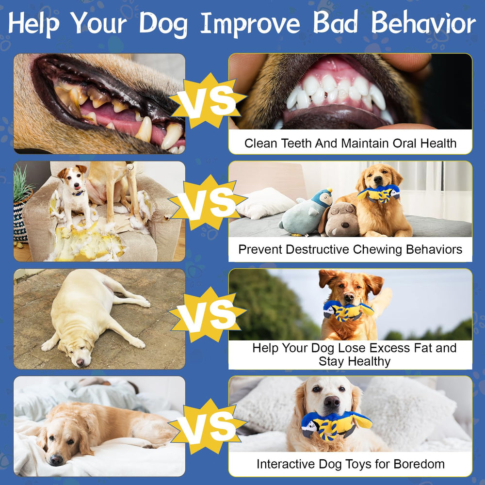 Regalo ideal VYsTN para cachorros y perros adultos