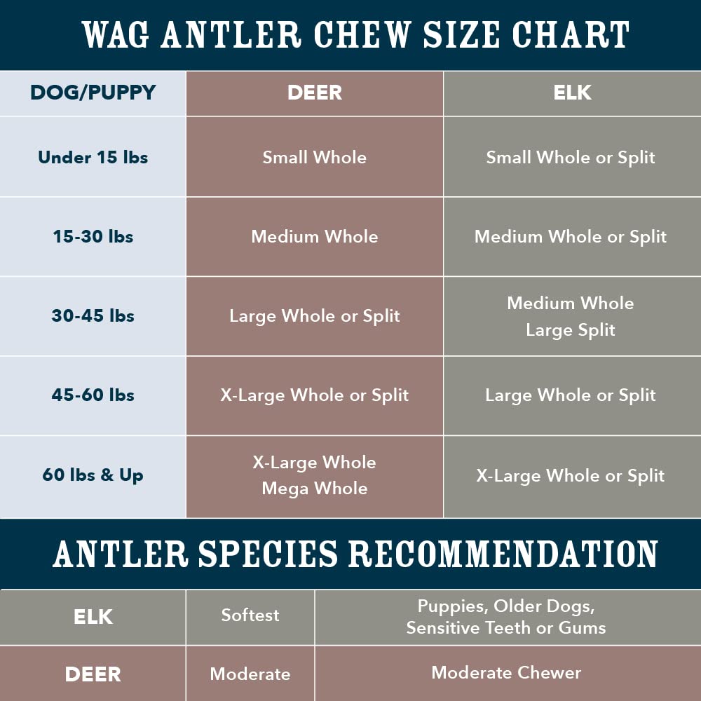 WAG corne de cerf sans additifs ni conservateurs, option naturelle.
