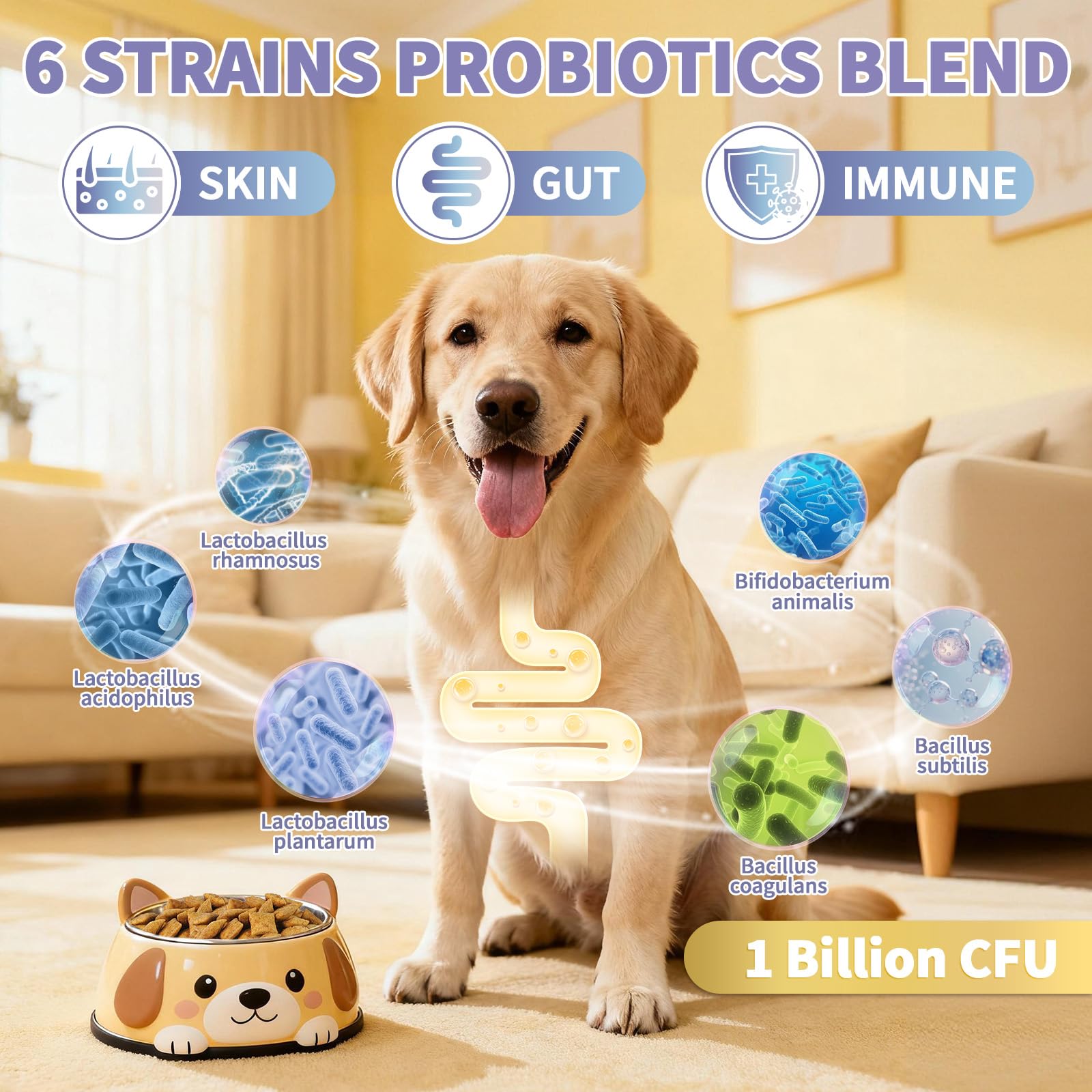 Wagmee digestivo probiótico perro, apoyo digestivo para alérgicos.