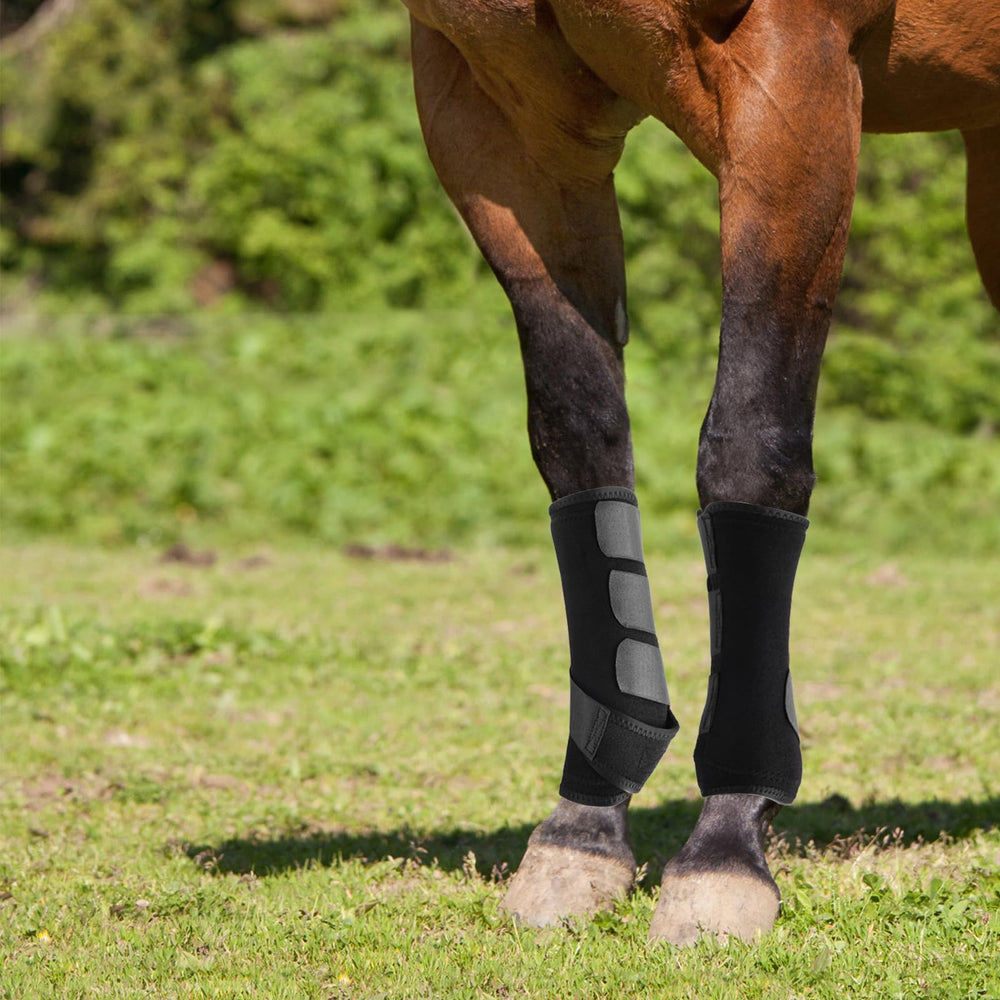 Botas Wagrvuy para caballo: uso rápido y seguro en entrenamientos.