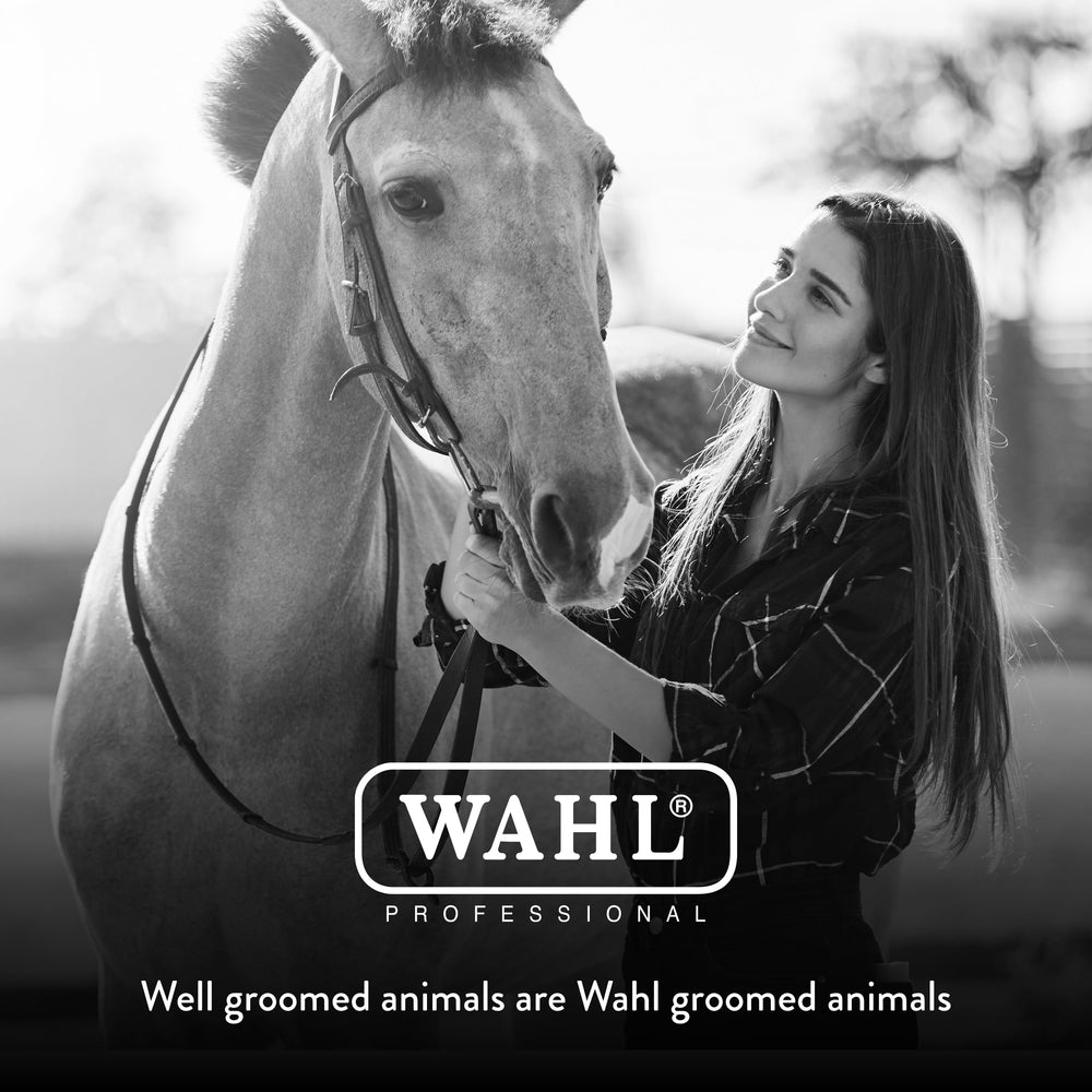 Cepillo Wahl para caballo, ideal para uso profesional y doma.