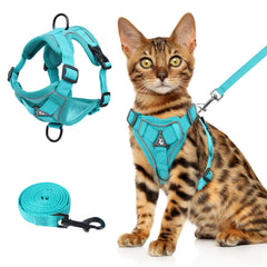 Wanheart arnés para gato en color esmeralda, cómodo para paseos al aire libre