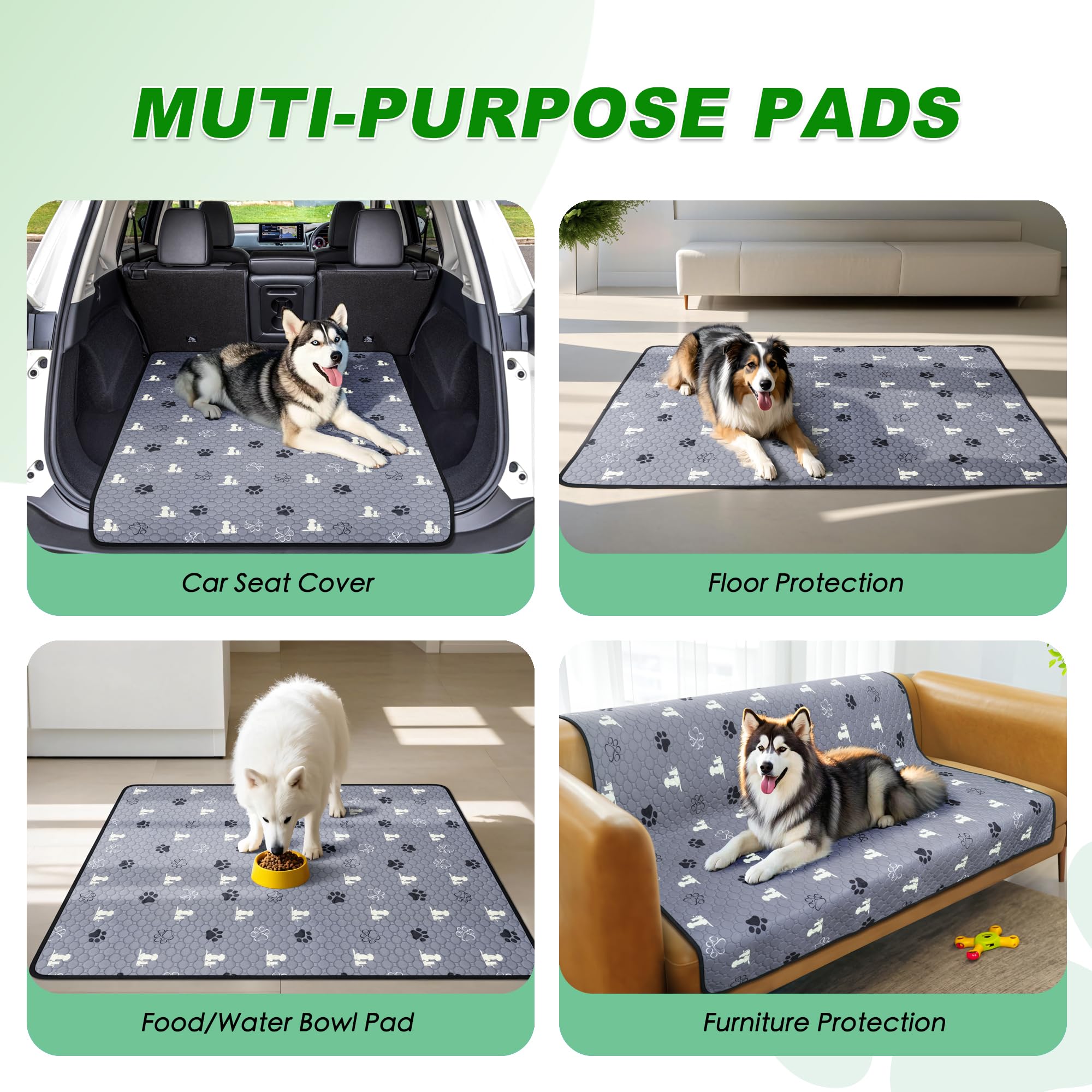 WanpeeGoo estampado bonito para perros durante el entrenamiento.