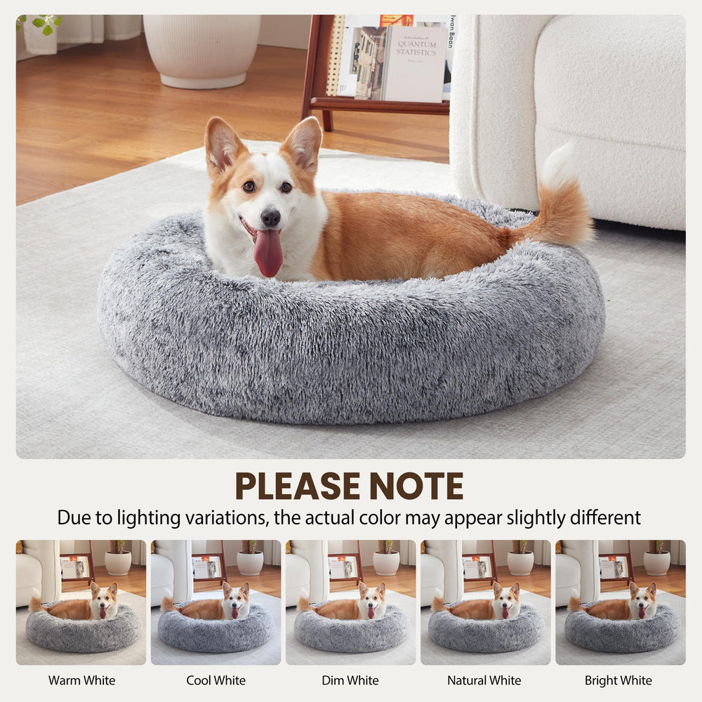 Warmrest Cama Donut: llega sellada y necesita expansión 24–72 horas.