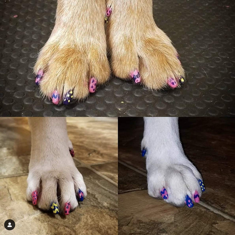 Diseños artísticos en uñas de perro con Pawdicure.