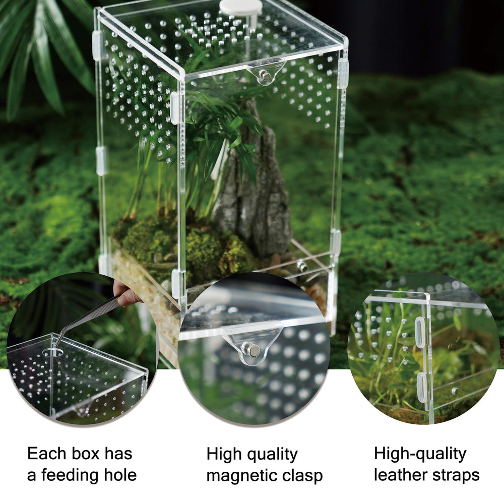 WBHONGHUI terrario acrílico, diseño moderno para decorar el hogar.