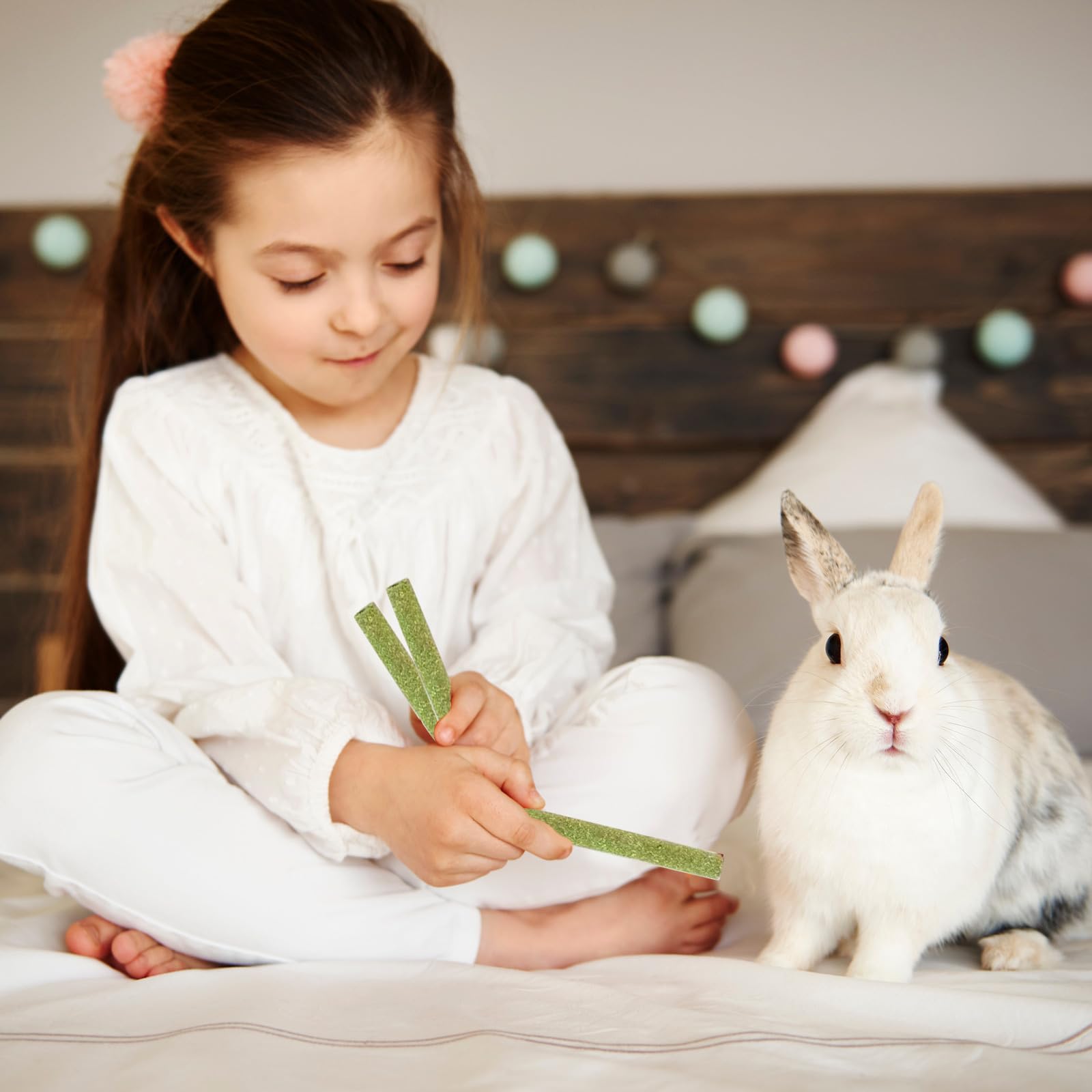 WDEFUN palitos heno Timothy para chinchillas, uso versátil para masticar