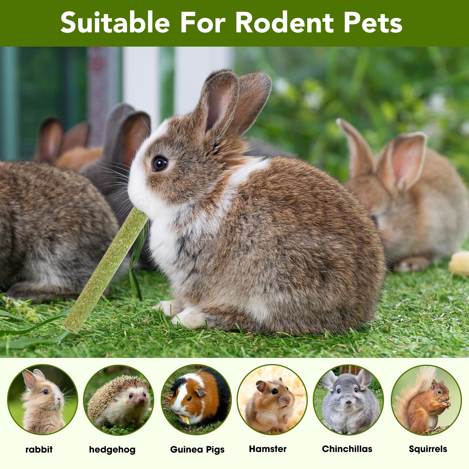 WDEFUN palitos heno Timothy para hamsters, snack duradero y estimulante