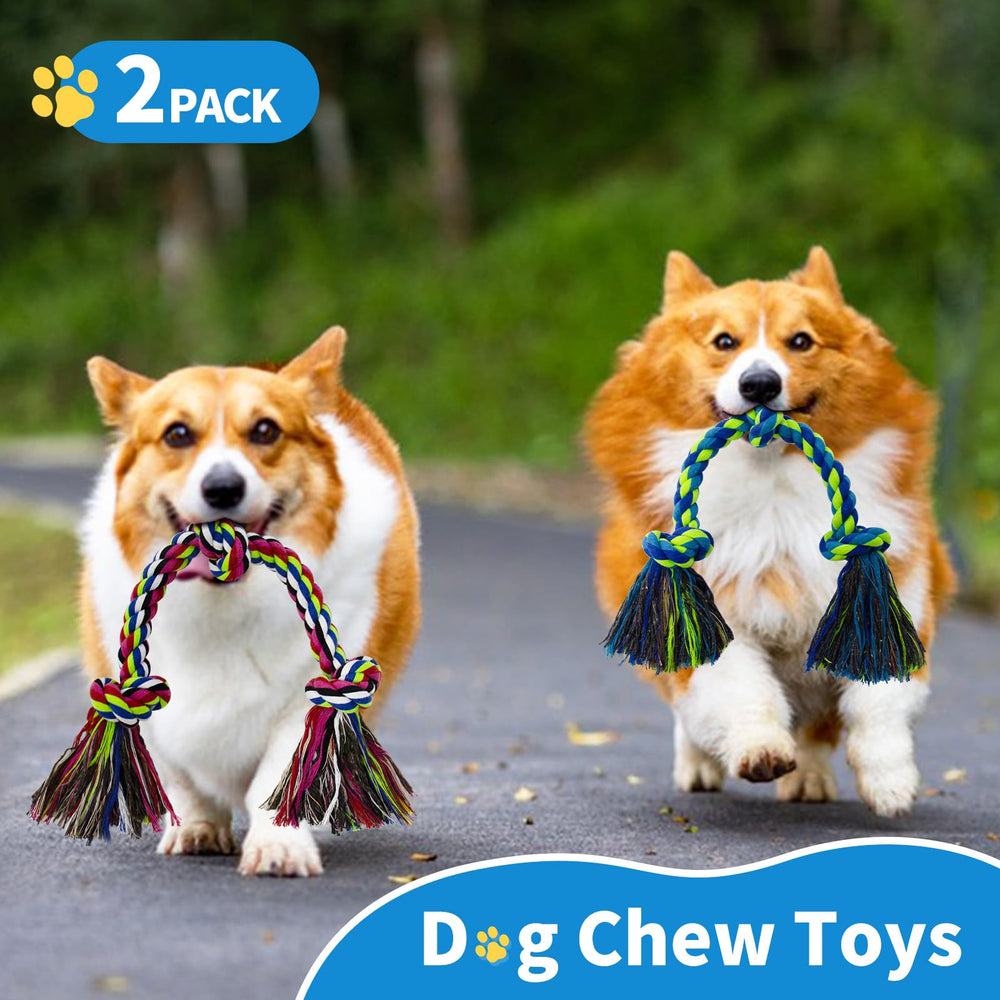 WDZZHOT regalo ideal para cumpleaños o fiestas de perros y ejercicio