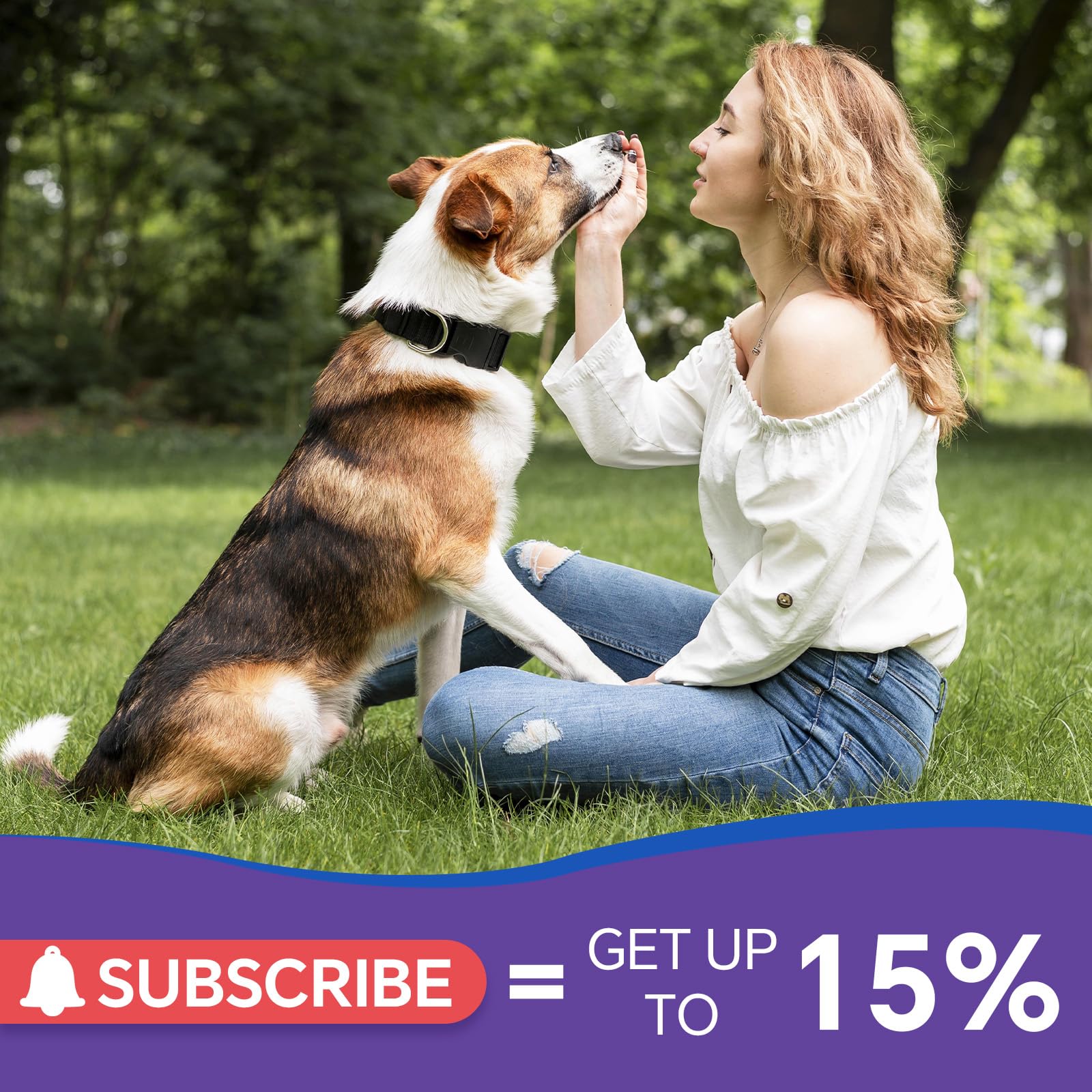 WEALLIN antibióticos para perros: apoyo dental y vitalidad.