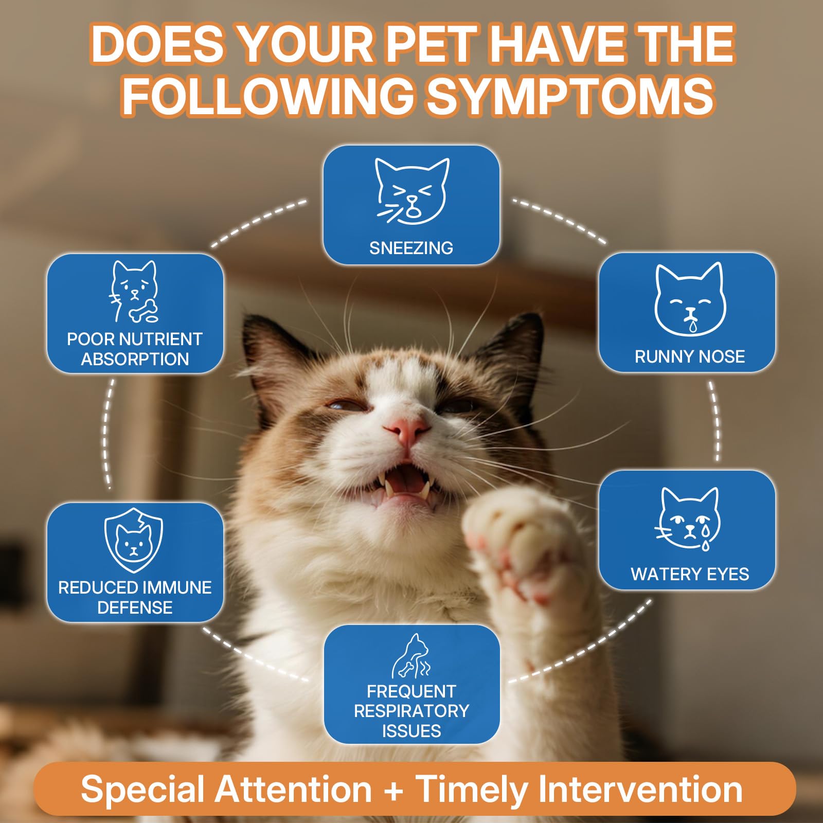 WEALLIN lisina para gatos, apoyo respiratorio suave